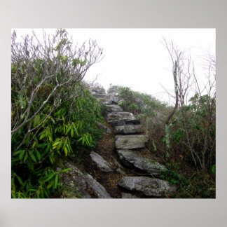 Affiche Stairs to the Clouds, Appalachian Trail