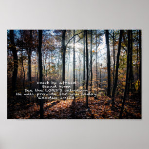 Affiche Stand Firm —