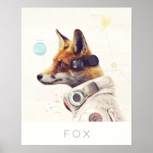 Affiche Star Team Fox