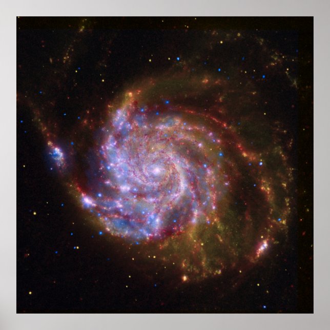 Affiche Starbirth in the Pinwheel : Galaxy M101 (Devant)