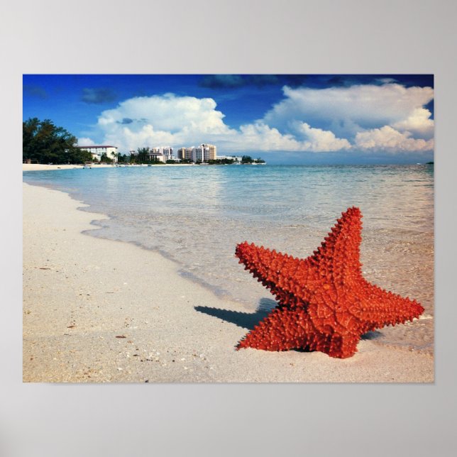 Affiche Starfish, Nassau, Bahamas (Devant)