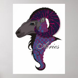 Affiche Starlight Aries Print