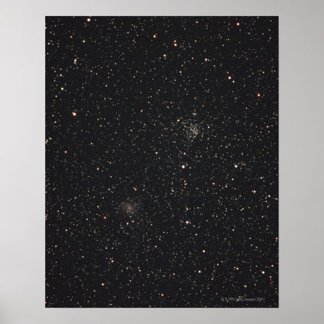 Affiche Starlit Sky 2 (Devant)