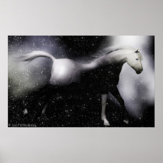 Affiche StarRunner