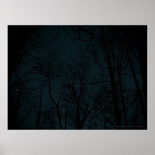 Affiche Starry Night Trees (Devant)