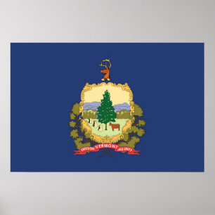 Affiche State Flag of Vermont, USA
