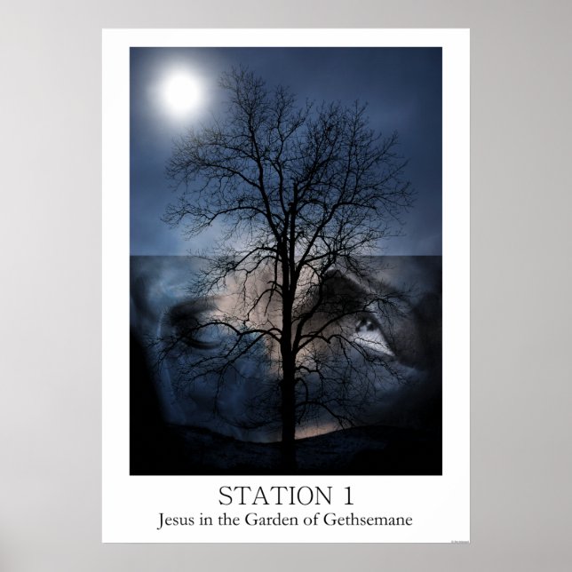 Affiche Station 1 (Devant)