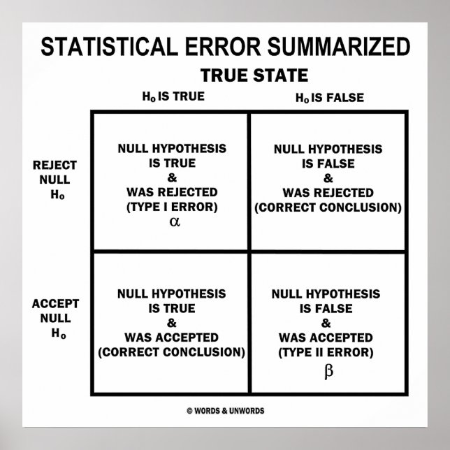 Affiche Statistical Error Summarized (Devant)