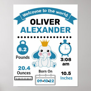 Affiche Statistiques Blue Elephant Baby Birth