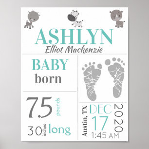 Affiche Statistiques de naissance de bébé empreinte de pie