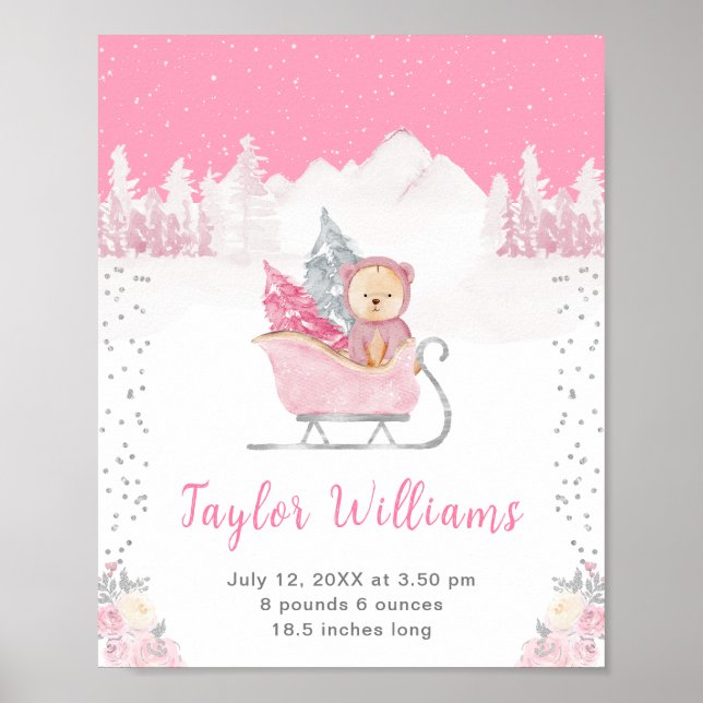 Affiche Statistiques de naissance de Winter Bear Pink Slei (Devant)