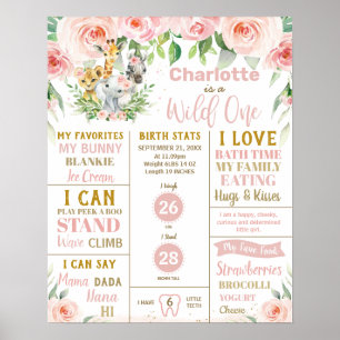 Affiche Statistiques du premier anniversaire des animaux d