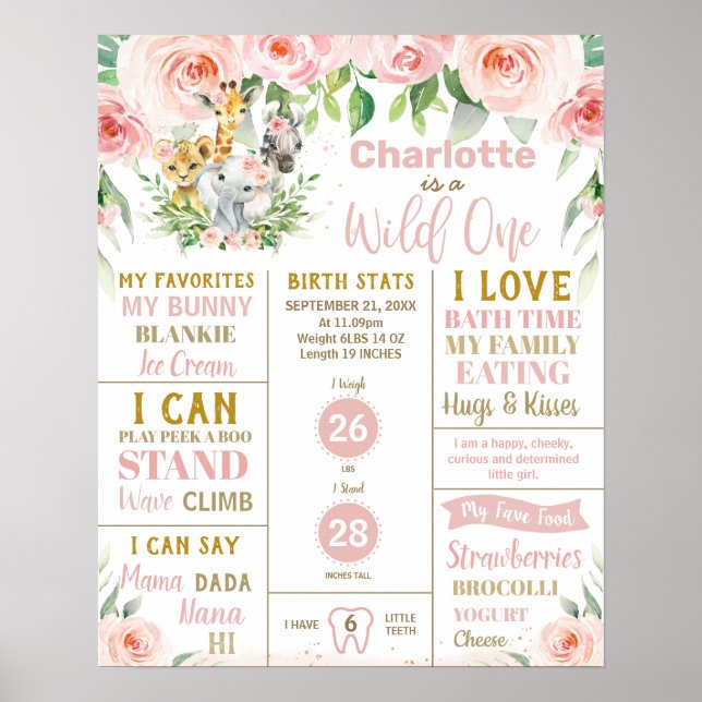 Affiche Statistiques du premier anniversaire des Animaux d (Devant)