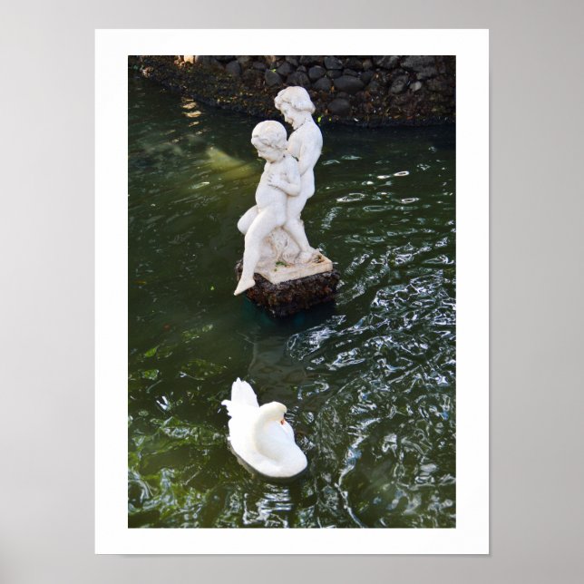 Affiche Statue et cygne à Madère (Devant)