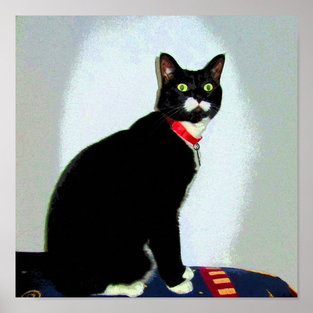 Affiche Statue Lucy (Devant)