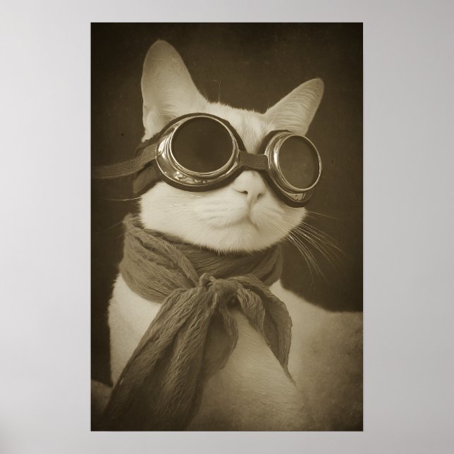 Affiche Steampunk Aviator Cat Sepia Portrait (Devant)