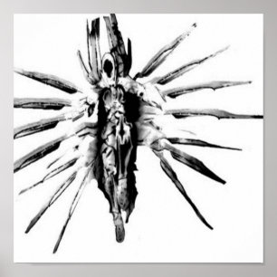 Affiche Steampunk Valkyrie