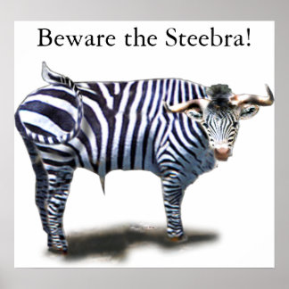 Affiche Steebra