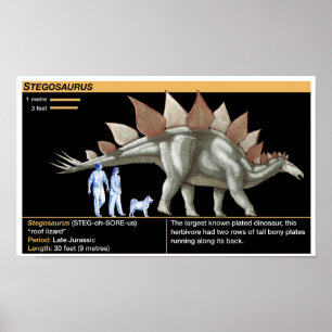 Affiche Stégosaure - Chronologie des dinosaures de la biol