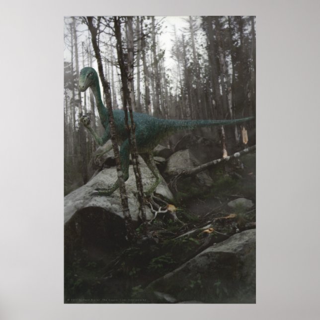 Affiche Stenonychosaurus (Devant)