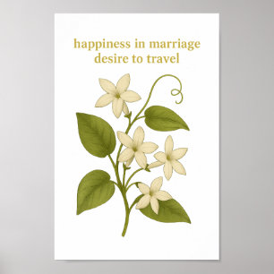 Affiche Stephanotis — Le bonheur dans le mariage