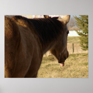 Affiche Stick Sticks Son Langage