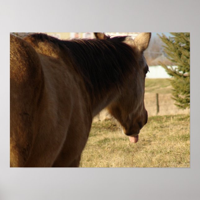 Affiche Stick Sticks Son Langage (Devant)