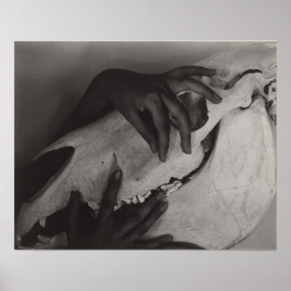 Affiche Stieglitz Georgia O’Keeffe Hands Horse Skull Photo