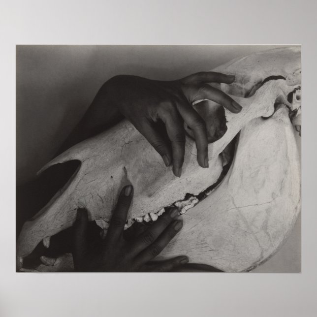 Affiche Stieglitz Georgia O’Keeffe Hands Horse Skull Photo (Devant)