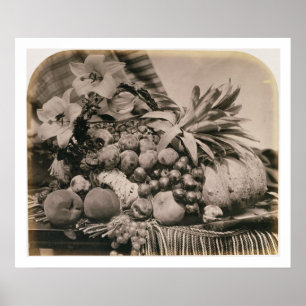 Affiche Still Life with Fruit, 1860 (sepia photo)