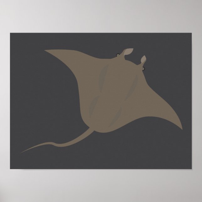 Affiche Stingray (Devant)