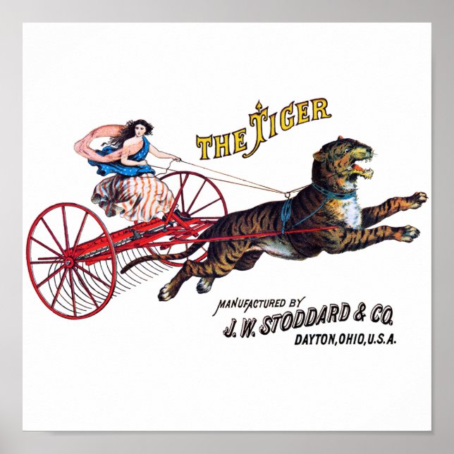 Affiche Stoddard Tiger (Devant)