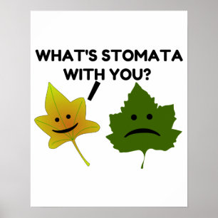 Affiche Stomata avec toi