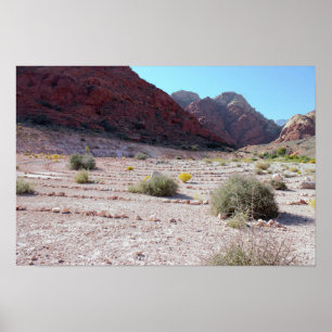 Affiche Stone Circle Red Rock Canyon