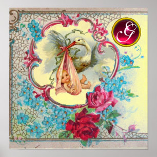 Affiche STORK BÉBÉ FILLE DOUCHE Ruby Gem Pierre Monogramme