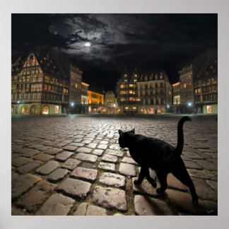 Affiche Strasbourg's night