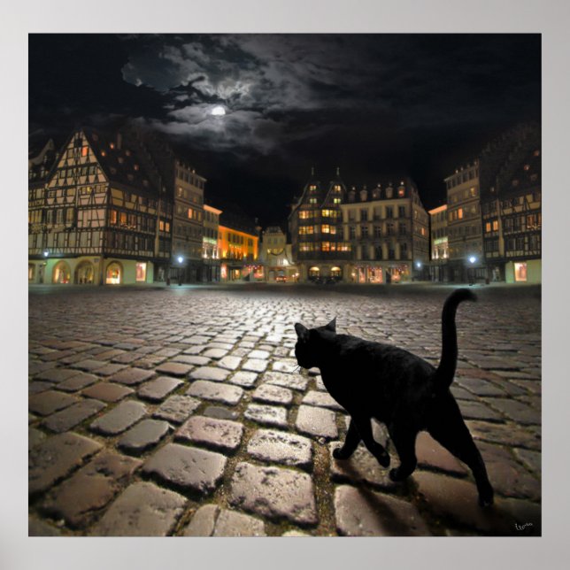 Affiche Strasbourg's night (Devant)