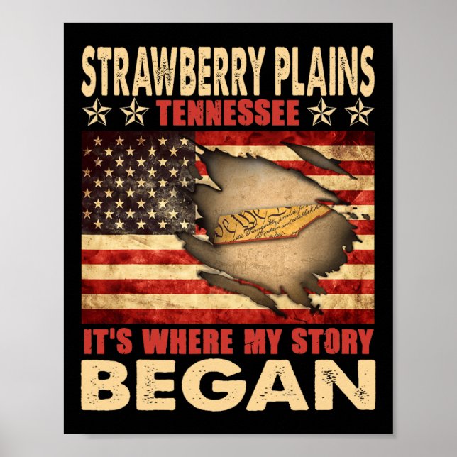 Affiche Strawberry Plains Tennessee États-Unis Drapeau 14  (Devant)