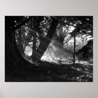 Affiche Streak of Light