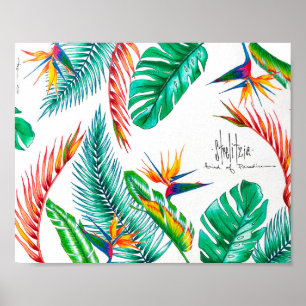Affiche Strelitzia - Oiseau Du Paradis