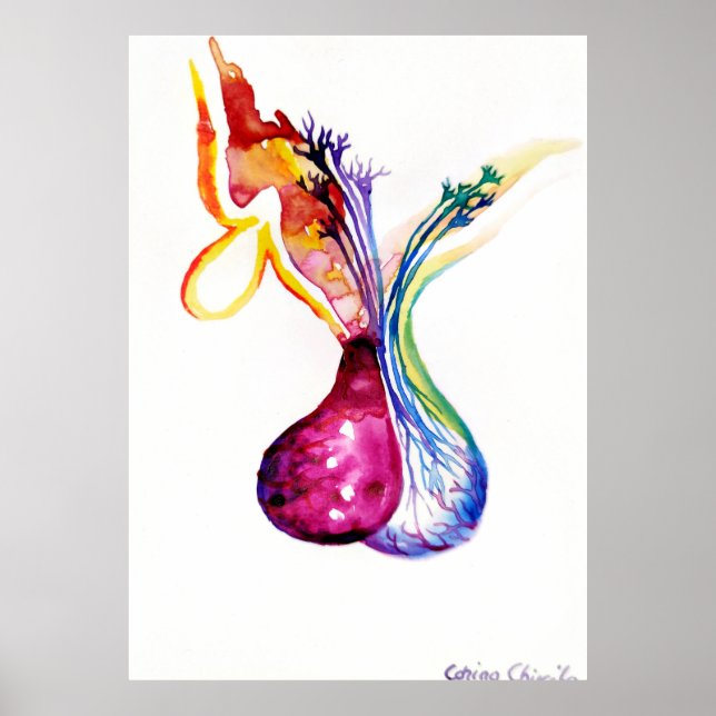 Affiche Structure hypophysaire (Devant)