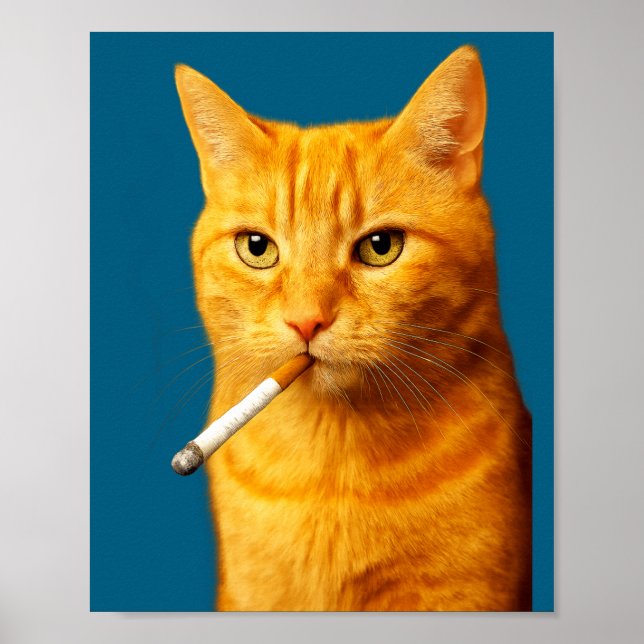 Affiche Stud Cool Funny Cat Meme Smoking Cat Cigarette  (Devant)