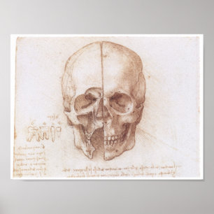 Affiche Study of the Human Skull, Leonardo da Vinci
