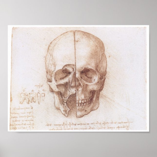 Affiche Study of the Human Skull, Leonardo da Vinci (Devant)
