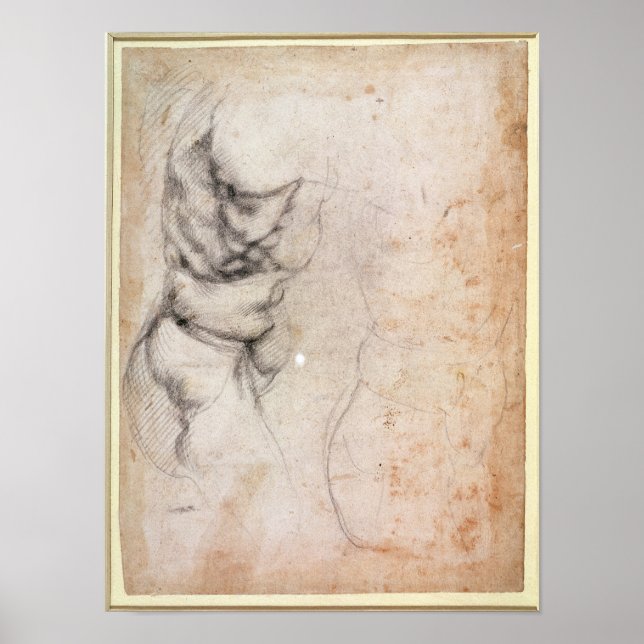 Affiche Study of torso and buttock (Devant)
