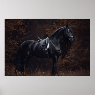 Affiche Stunning Elegant Sport Dressage Friesian Stallion