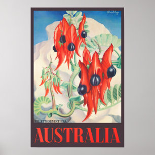 Affiche Sturt Desert Pea Australie voyage vintage
