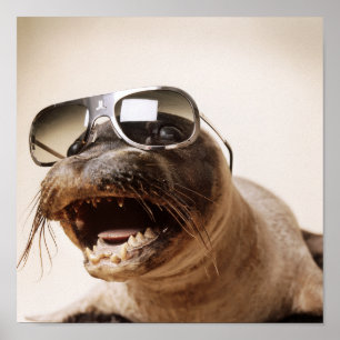 Affiche style de joint