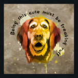 Affiche Style Pop Art Golden Retriever<br><div class="desc">Cette affiche de style pop art Golden Retriever présente un Golden Retriever dans les tons d'automne vert, jaune, orange, marron avec une citation de chien : Etre ce mignon doit être un ruff monstrueux. Cette affiche amusante et ludique ajoutera une pop de couleur à votre chambre. C'est l'accent parfait pour...</div>