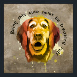 Affiche Style Pop Art Golden Retriever<br><div class="desc">Cette affiche de style pop art Golden Retriever présente un Golden Retriever dans les tons d'automne vert, jaune, orange, marron avec une citation de chien : Etre ce mignon doit être un ruff monstrueux. Cette affiche amusante et ludique ajoutera une pop de couleur à votre chambre. C'est l'accent parfait pour...</div>
